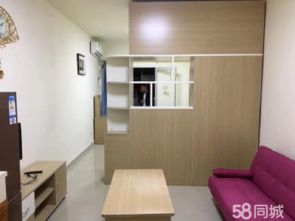 中南菜市場旁 精裝單身公寓 可短租 拎包入住