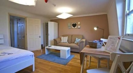 自有品牌公寓將成中國民宿趨勢？——從螞蟻短租成立“有家民宿”談起